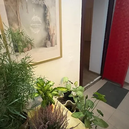 Apartamento Experience In Happyplace Photo Bucarest
