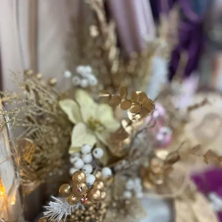 Experience In Happyplace Photo Apartment *