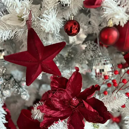 Experience In Happyplace Photo