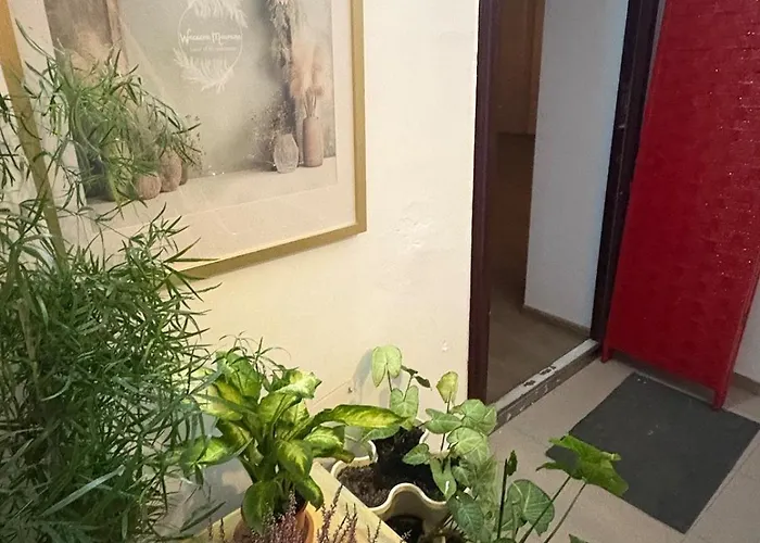 Апартаменти Experience In Happyplace Photo Бухарест